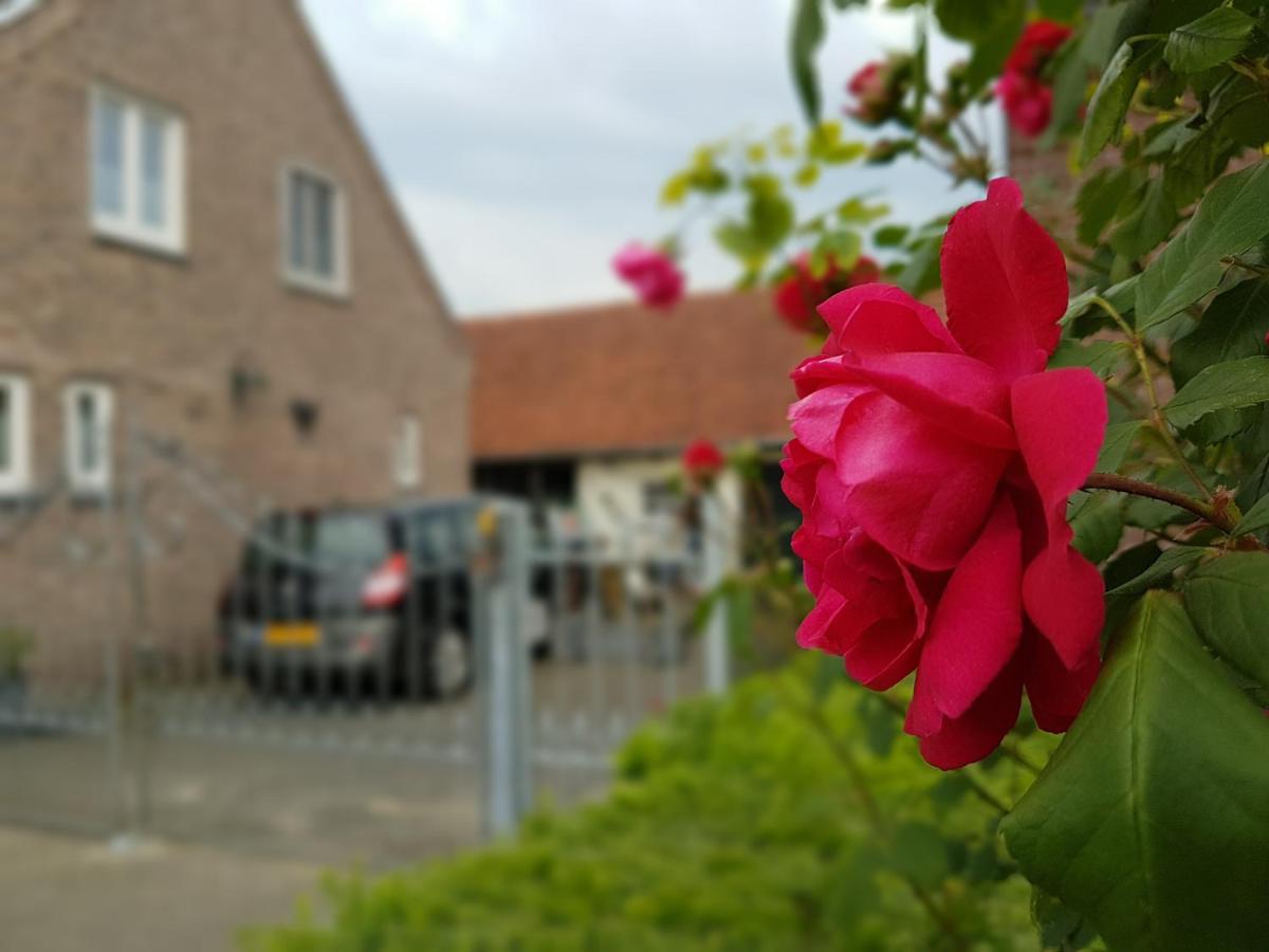 Bed and Breakfast De Boerebeemd Lieshout Екстер'єр фото