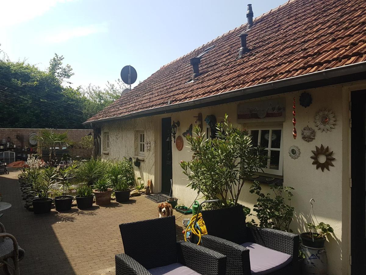 Bed and Breakfast De Boerebeemd Lieshout Екстер'єр фото